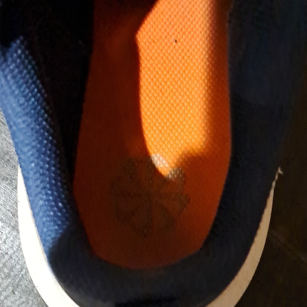 Nike Blue and White Sneakers - Picture 2 of 6